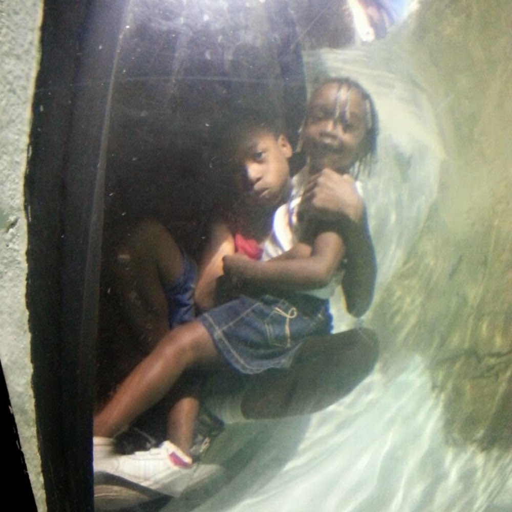 Meet your Posher, Dawn